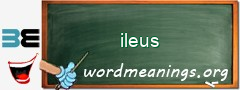 WordMeaning blackboard for ileus